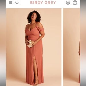 NWT terra-cotta bridesmaid dress